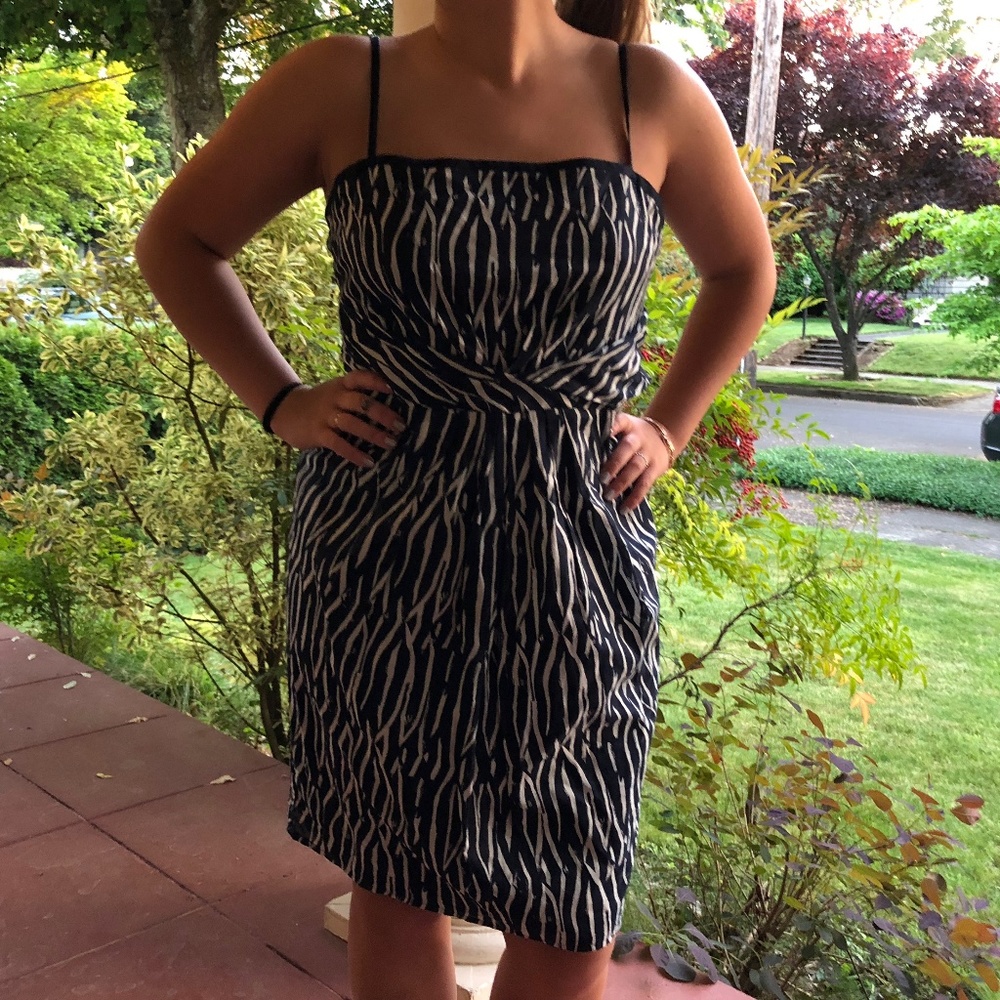 Ann Taylor Navy Print Dress